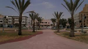 Ibn Alnafees‏ garden